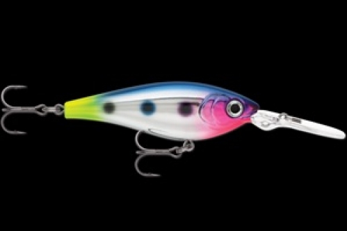 Rapala Harvest Shad